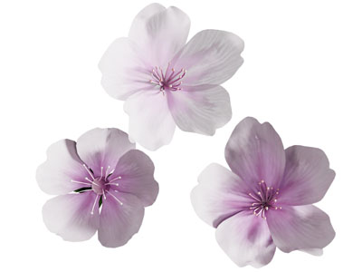 现代淡紫渐变五瓣花卉 樱花 海棠花