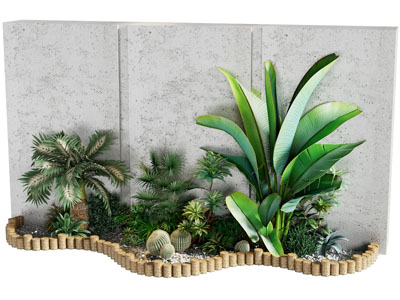 现代植物