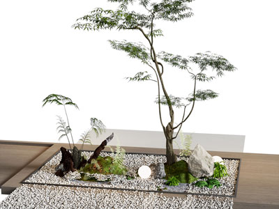 新中式门厅玄关植物端景 造景 植物景观