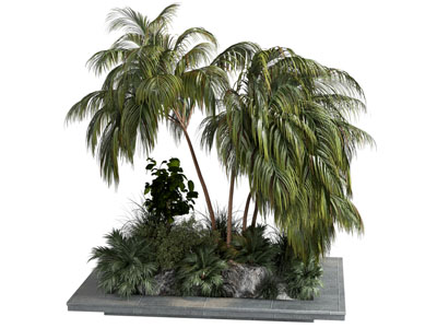 现代树池 花草树木景观园艺小品