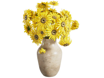 花卉