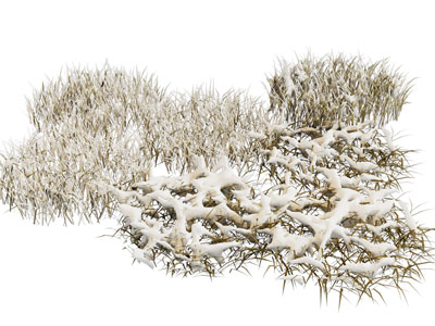现代雪景 草地雪花