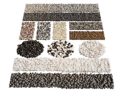 现代鹅卵石 庭院碎石铺地