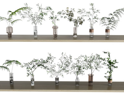 花瓶花艺 水生植物 玻璃瓶插枝条 枝条花瓶 玻璃花瓶