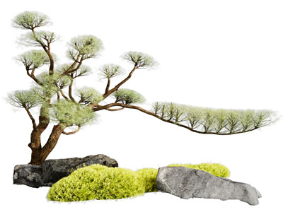 松树 石头 园艺小品