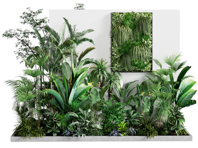 现代植物堆