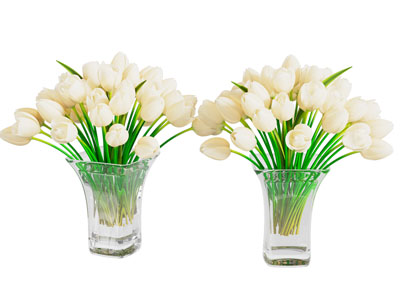 现代白色郁金香花瓶花卉
