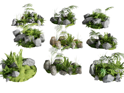 苔藓植物堆 绿植