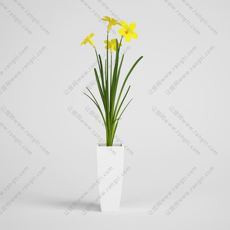 五瓣小黄花、盆栽花卉