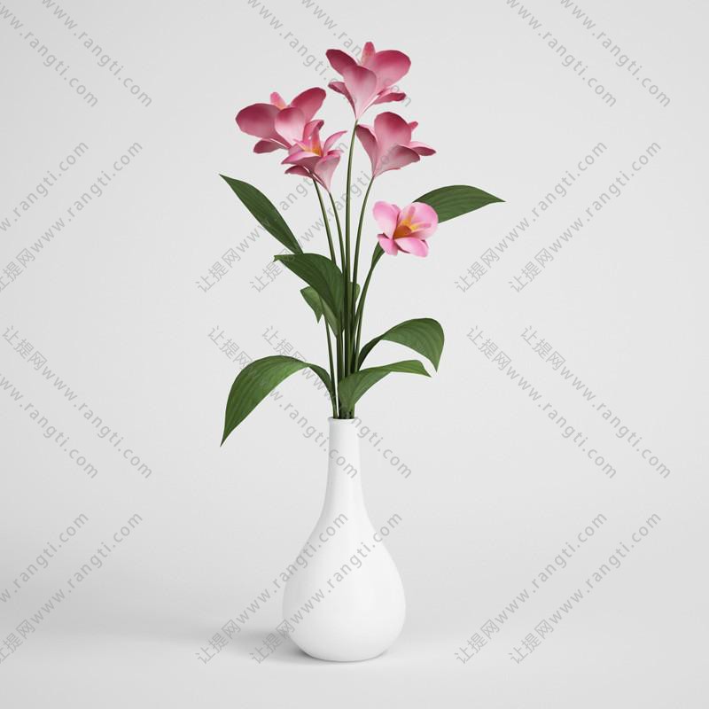 白色瓷瓶花瓶花卉