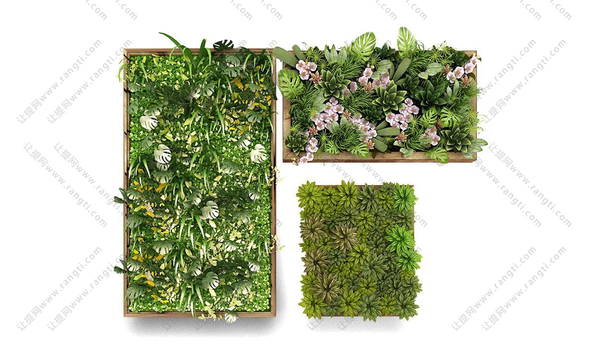 龟背竹、形似花叶冷水花的植物花卉画框墙