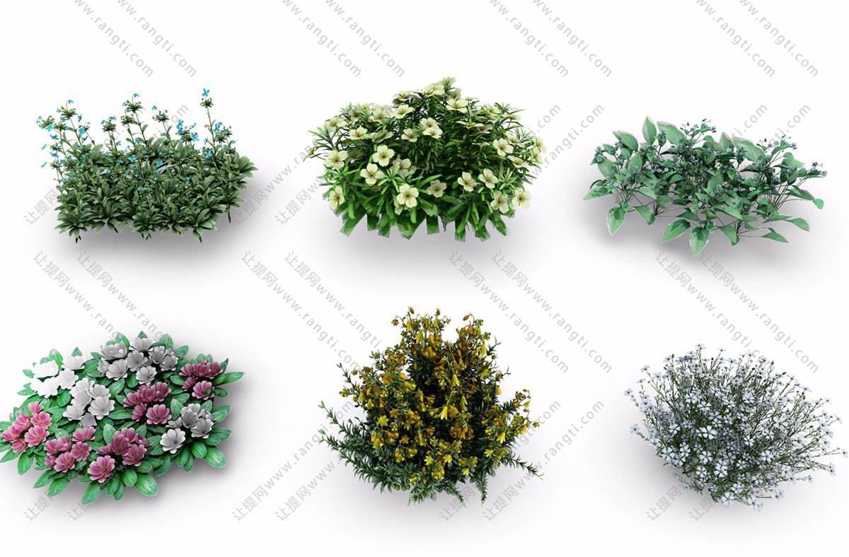 黄色花、青色花、红色花 灌木花草花丛花卉
