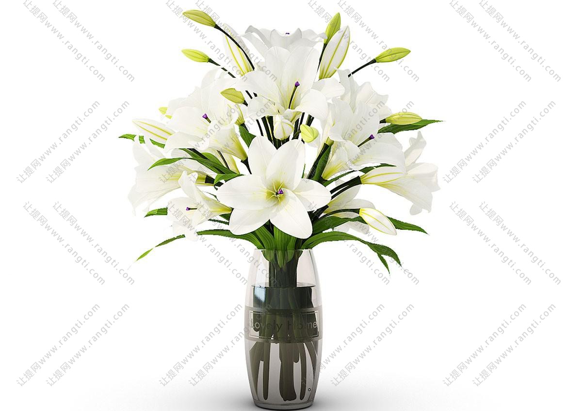 百合花瓶花卉