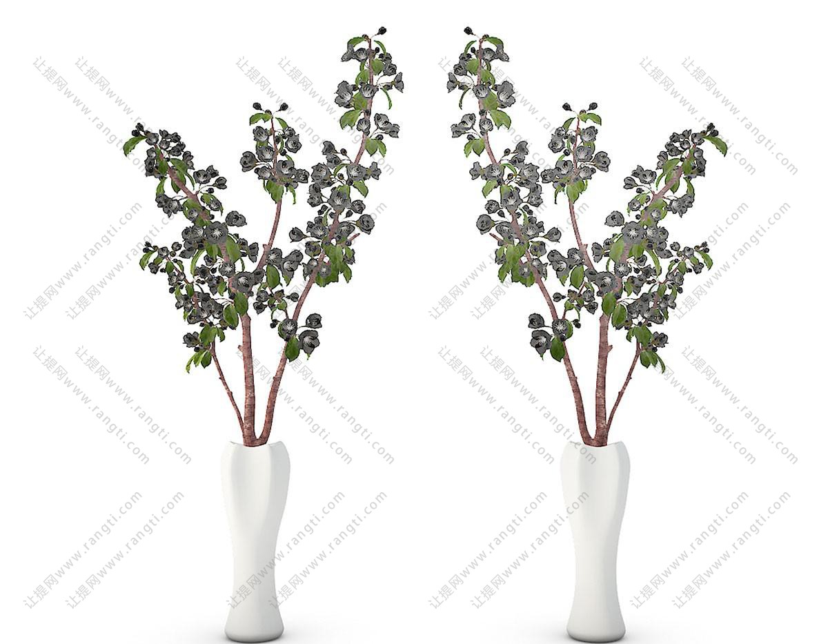 形似树马齿苋的花瓶花卉