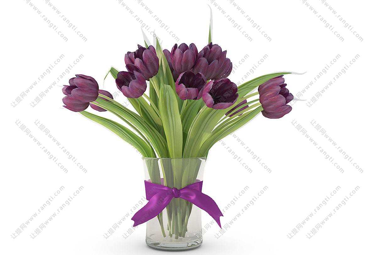 紫红色郁金香花瓶花卉