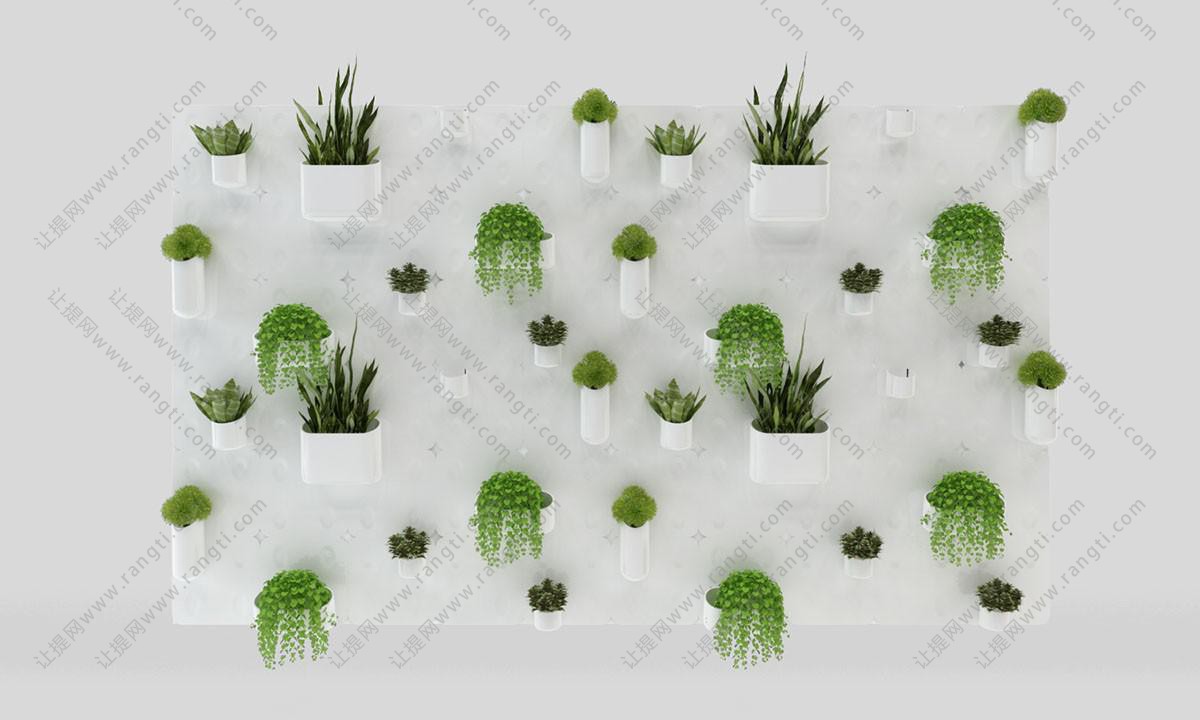 绿萝、虎皮兰植物墙