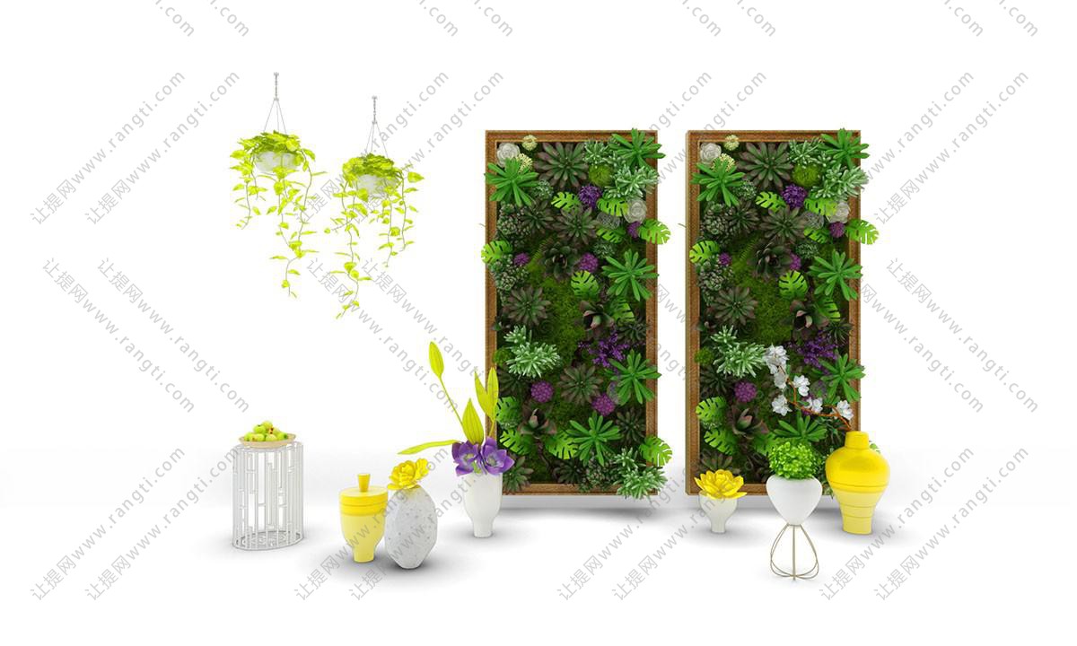 多肉植物、龟背竹、银莲、绿萝画框植物墙