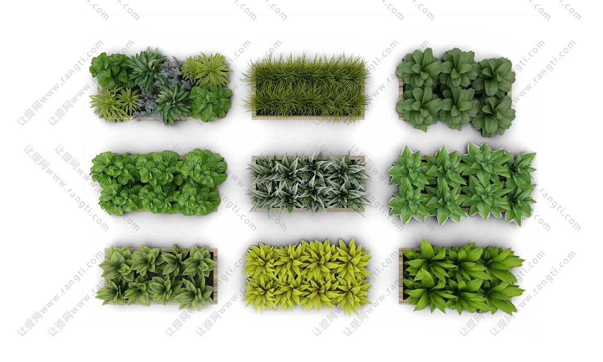 多种植物组合植物墙