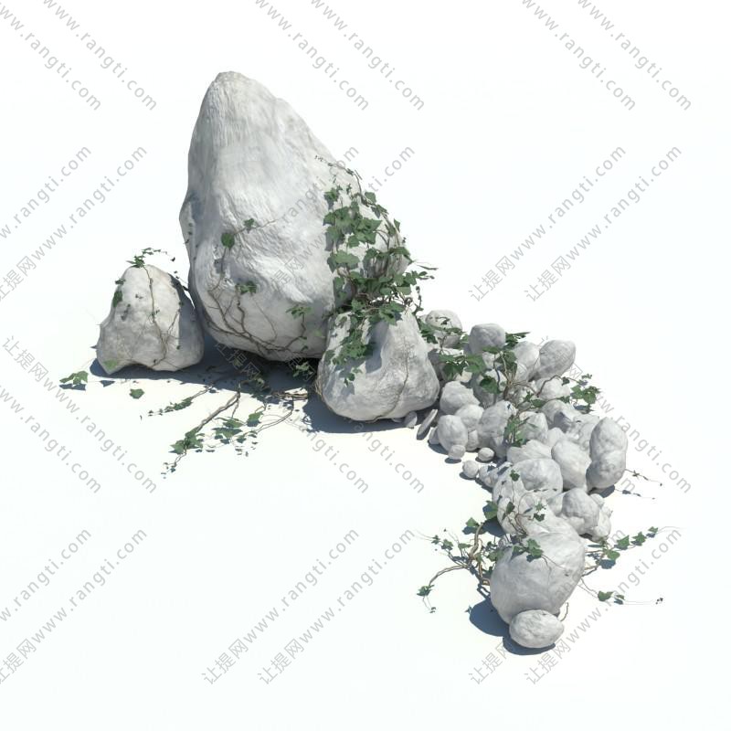 石头堆上的常春藤花草植物