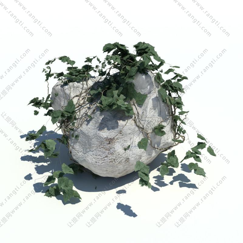 石头上的睡布袋花草绿植