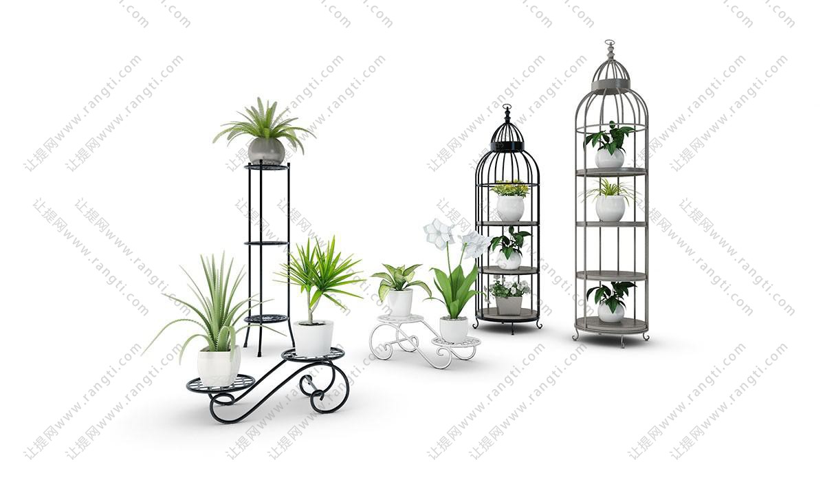 芦荟、千年木、白掌盆栽植物 鸟笼花架