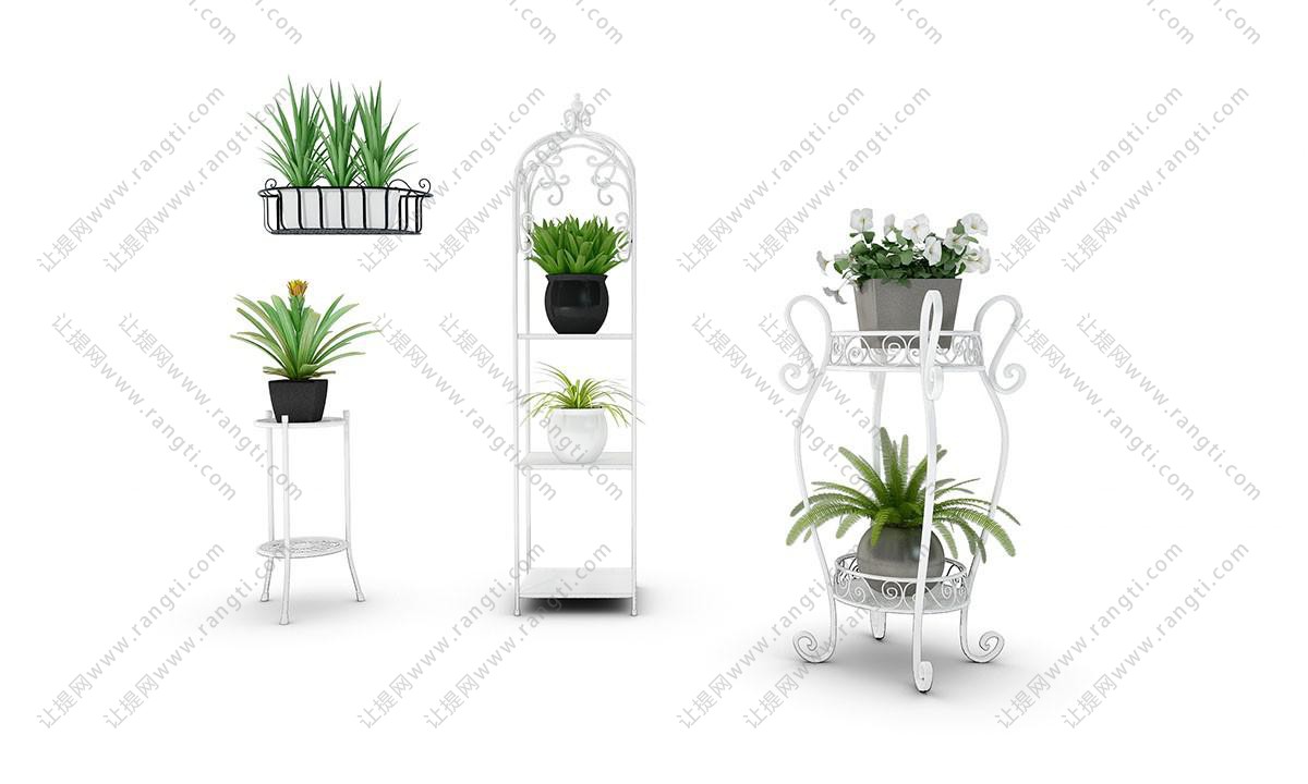 君子兰、吊兰白色花架盆栽植物