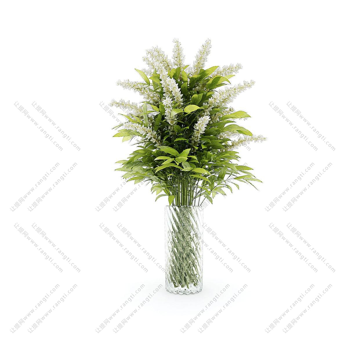 形似金鱼草的花瓶花卉