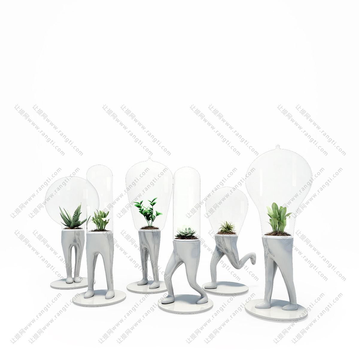 菖蒲、十二卷、人物灯泡造型花盆植物