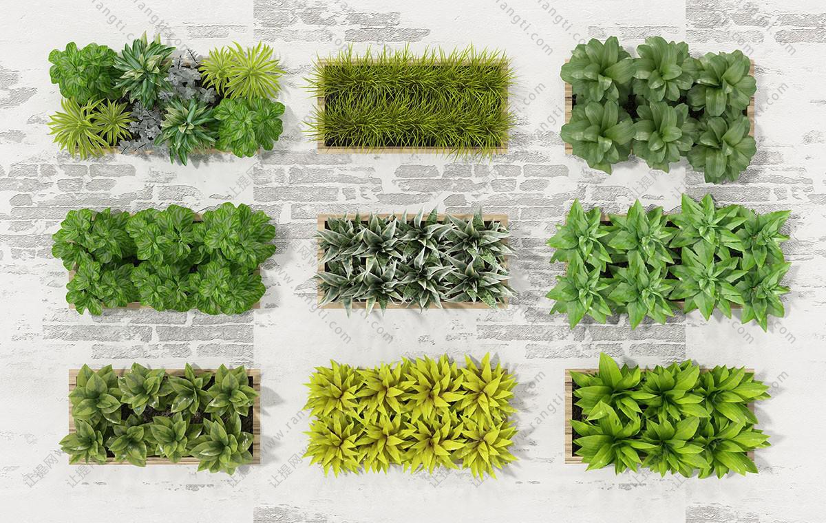 类似罗勒叶、绞股蓝长方形画框植物墙