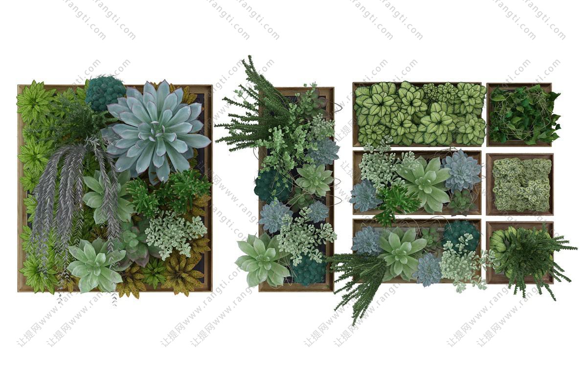 多肉植物、网纹草画框植物墙
