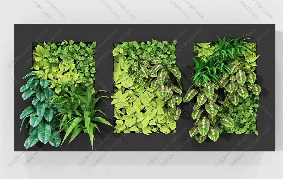 三个长方形画框网纹草植物墙