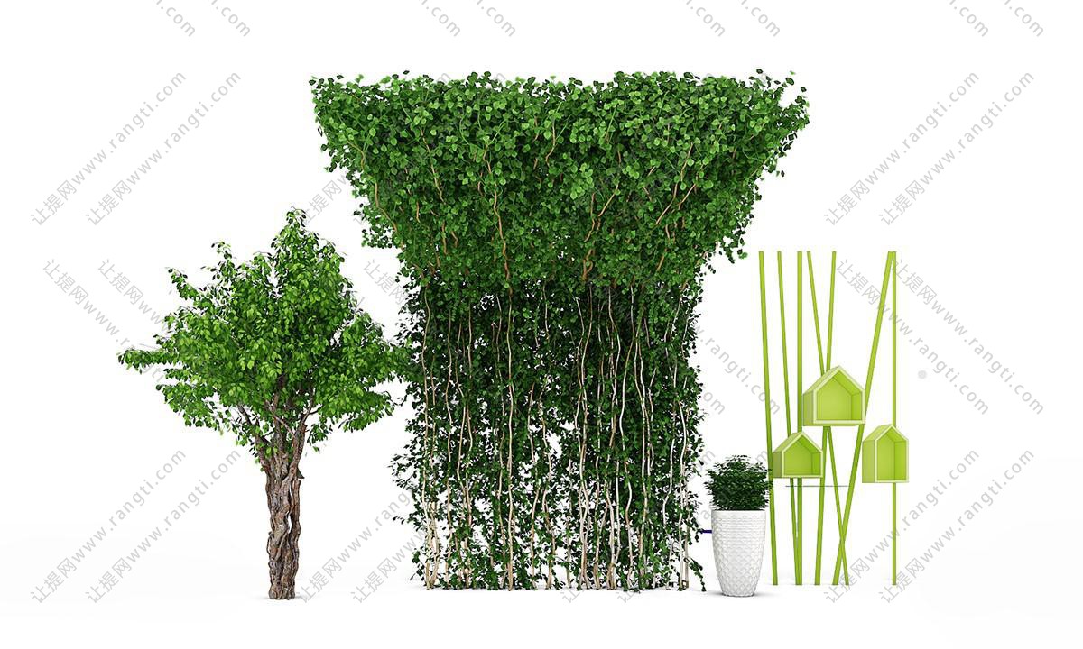 形似金钱榕、藤蔓植物墙