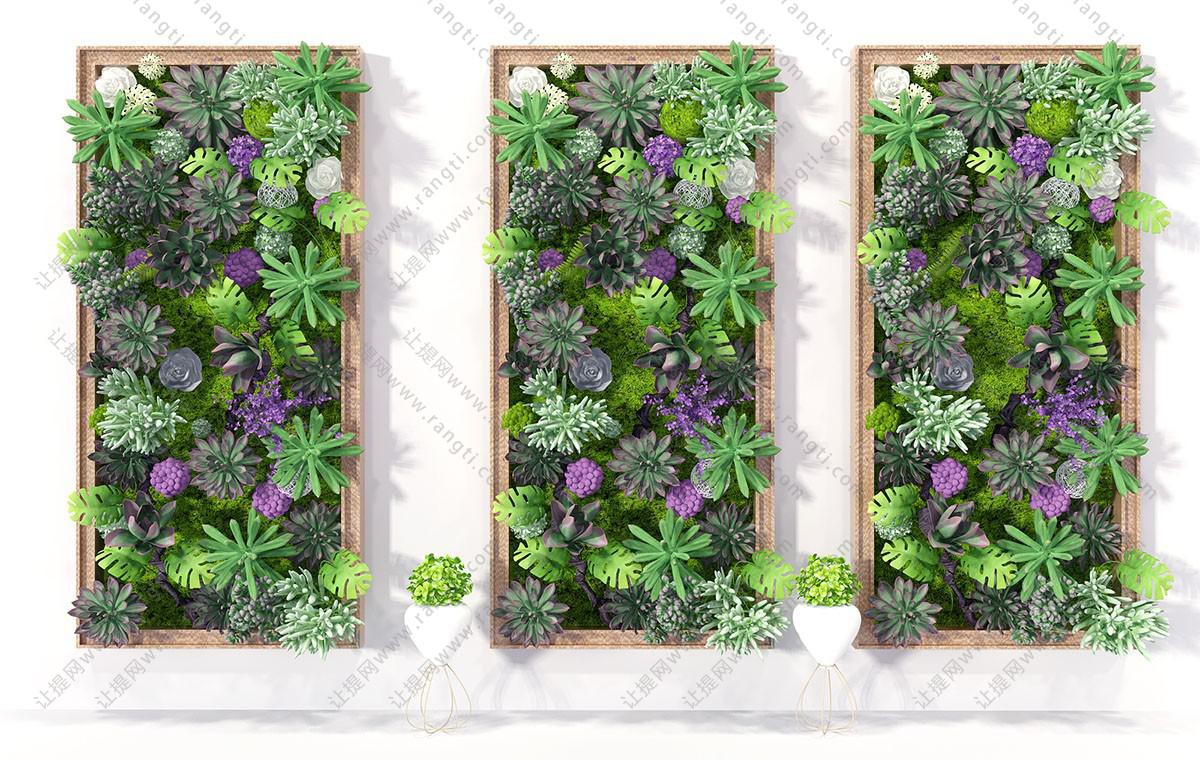 现代画框多肉植物墙