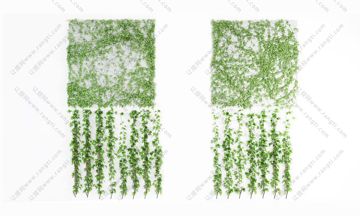 方形、竖条形常春藤植物墙