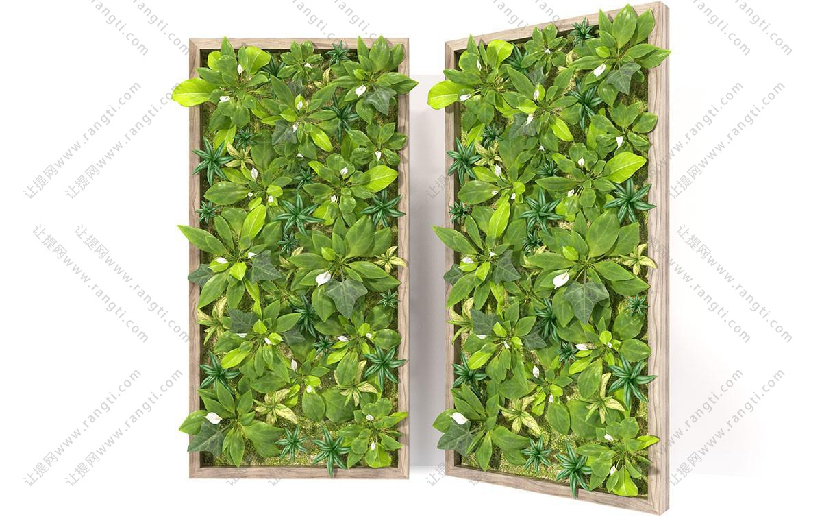 长方形画框形似鹅掌柴植物墙
