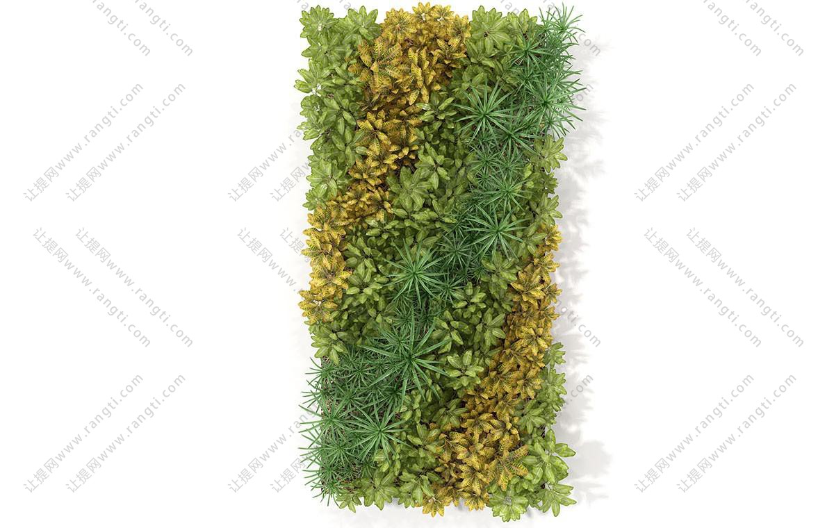 长方形画框装饰风车草的植物墙