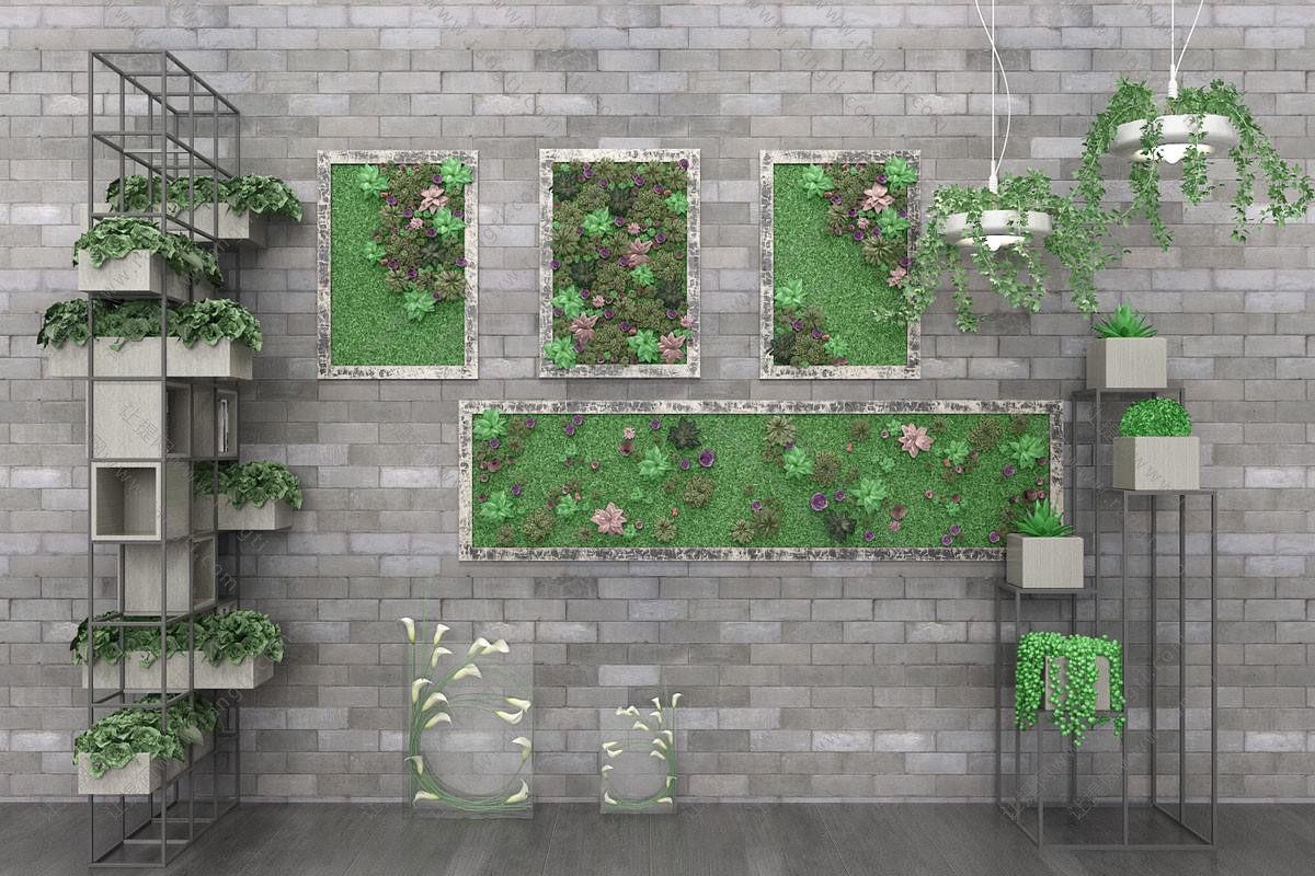 现代金属花架、多肉植物墙、盆栽藤蔓植物