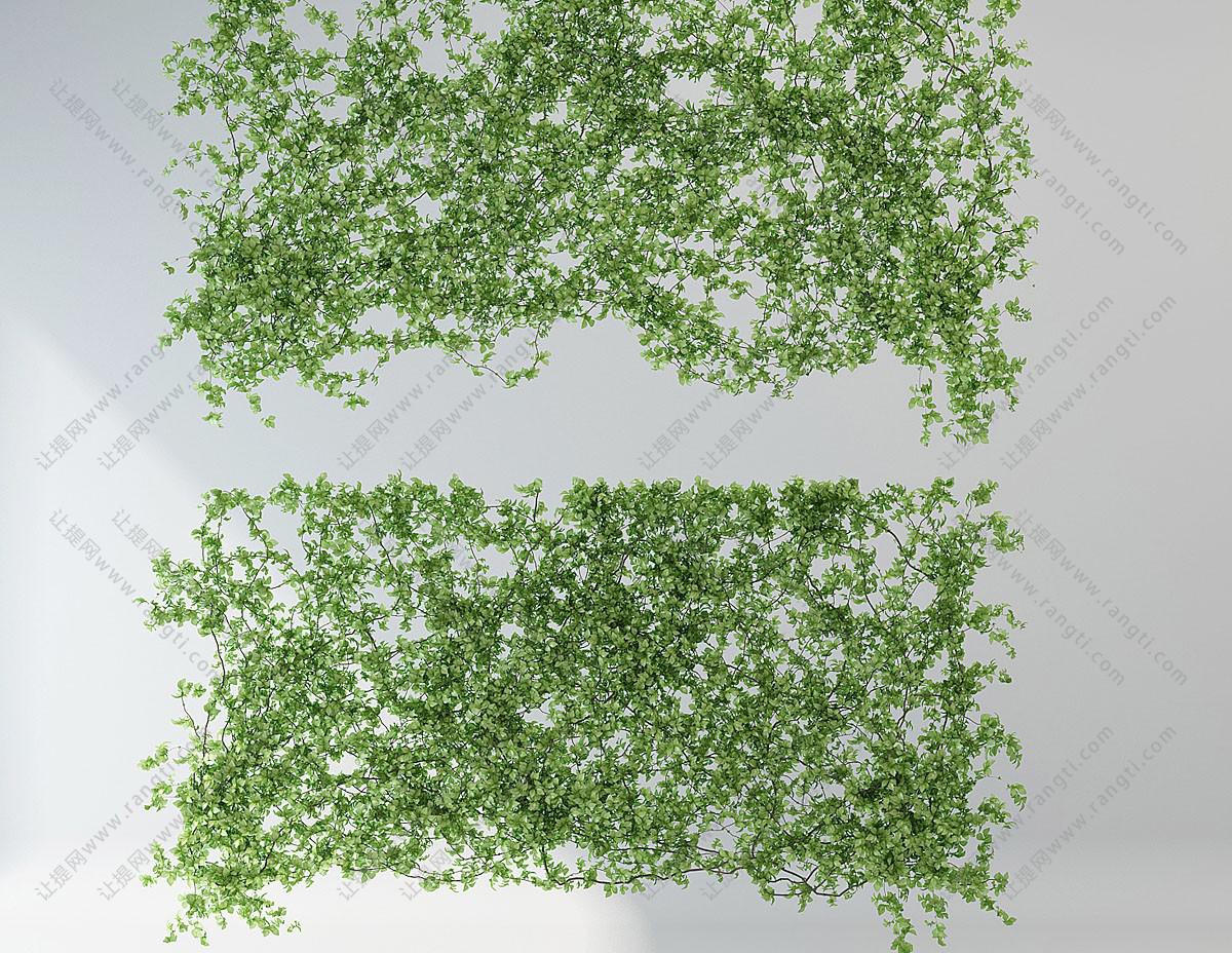 藤蔓植物背景墙