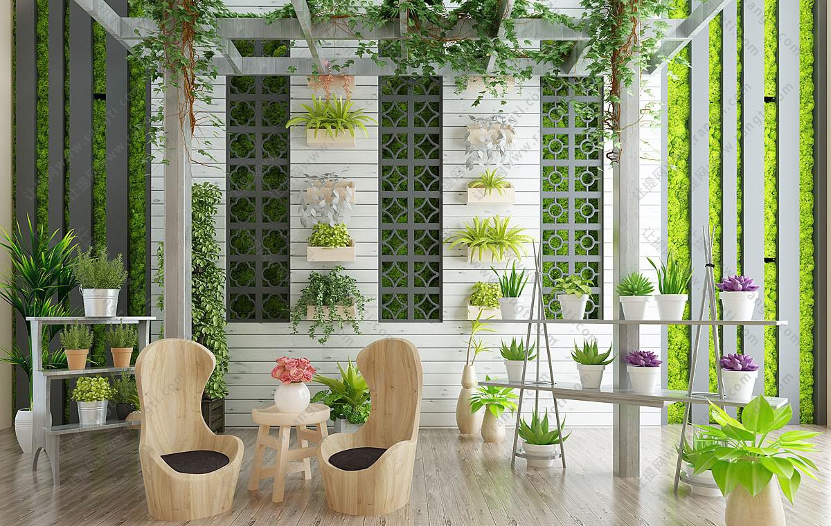 花房户外阳台花架藤蔓植物、植物墙