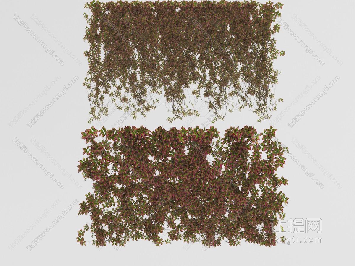 带有红色花边的叶子藤蔓植物墙