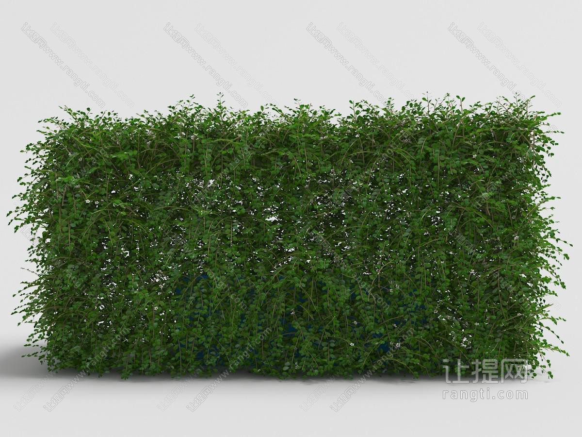 长方形灌木绿色植物墙