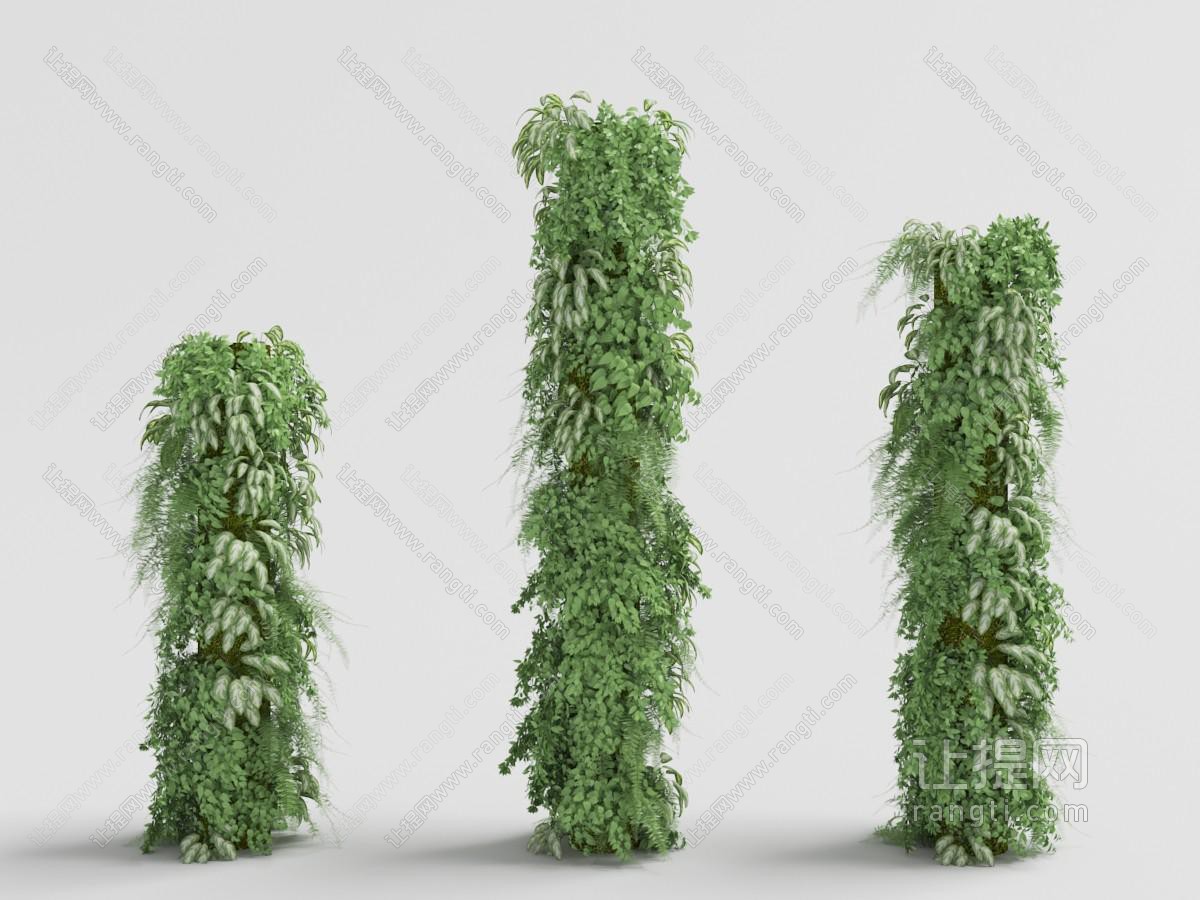 向上缠绕攀爬的藤蔓植物