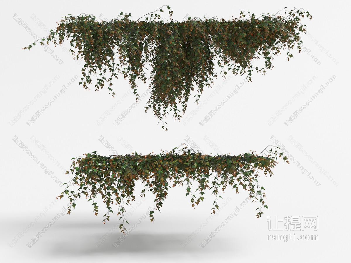 开满红色碎花的藤蔓植物