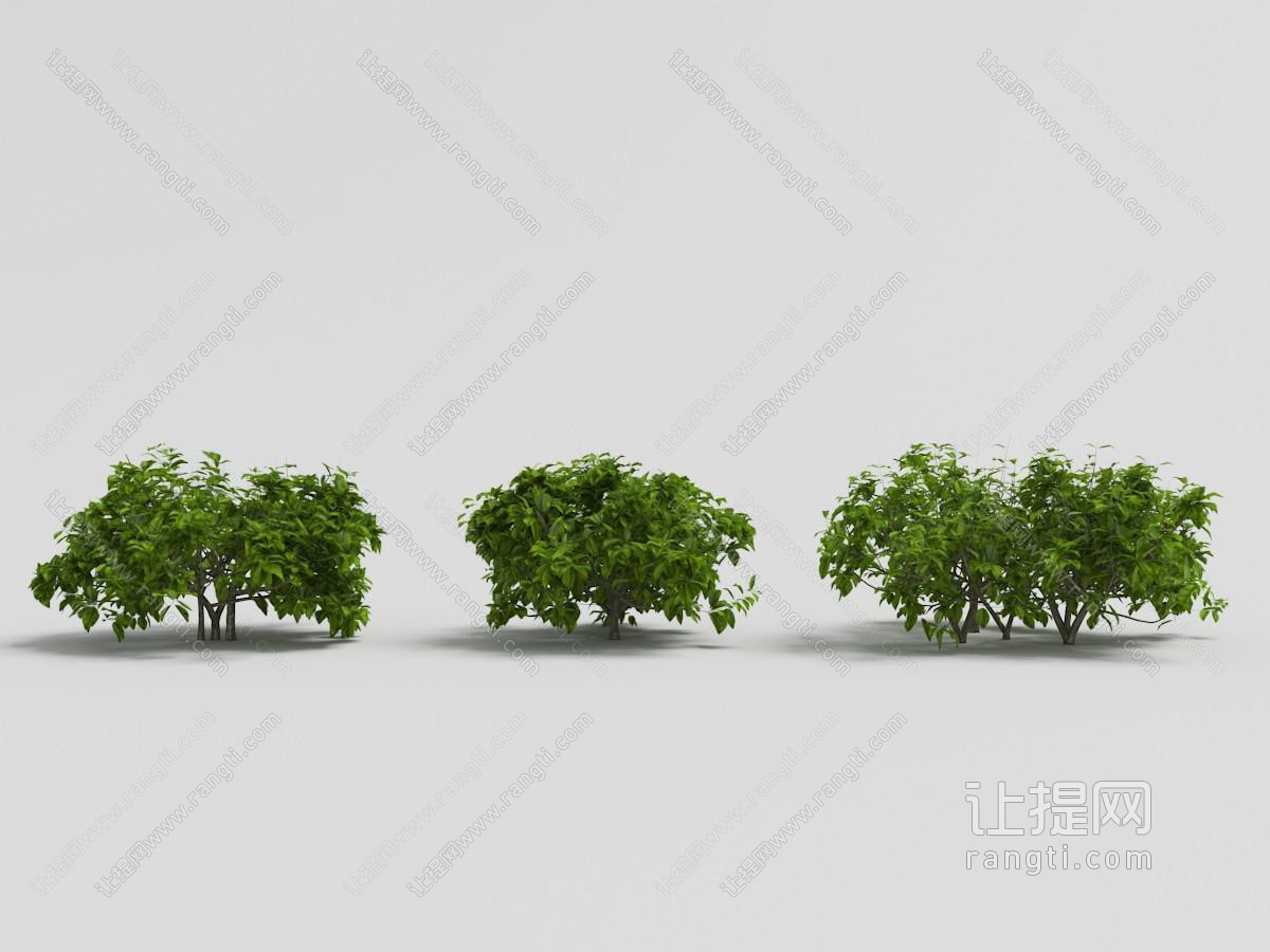 三处枝叶茂盛的绿色灌木丛