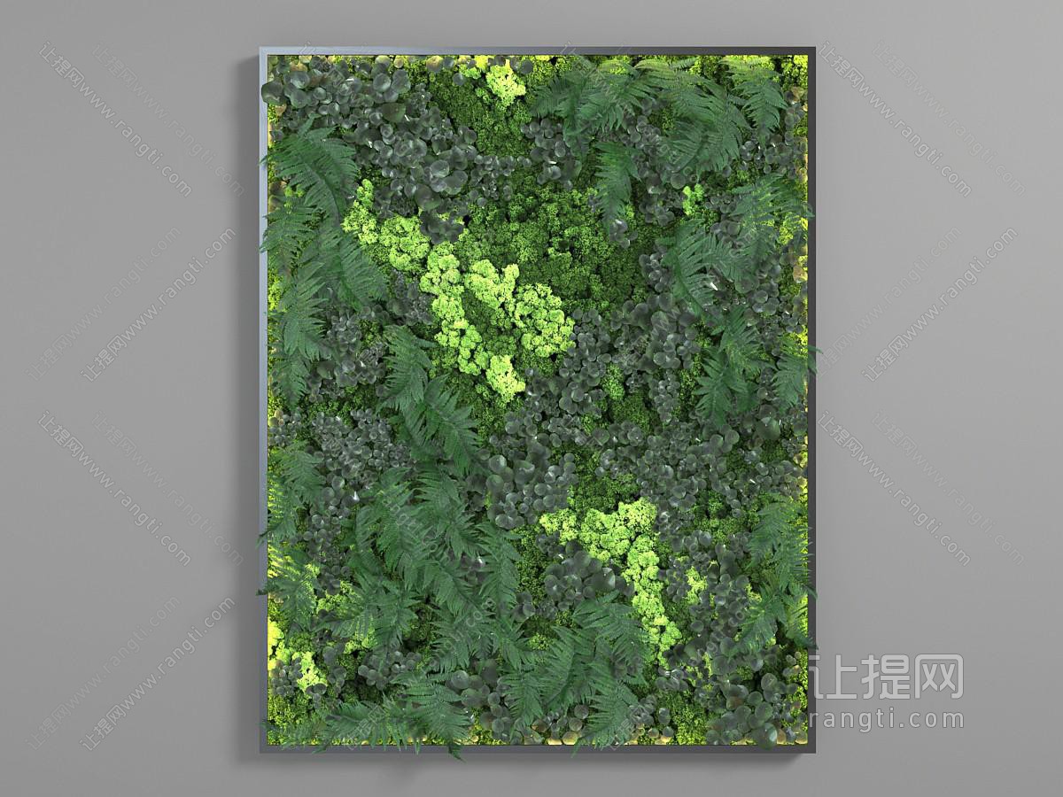 黑色细边框长方形植物墙