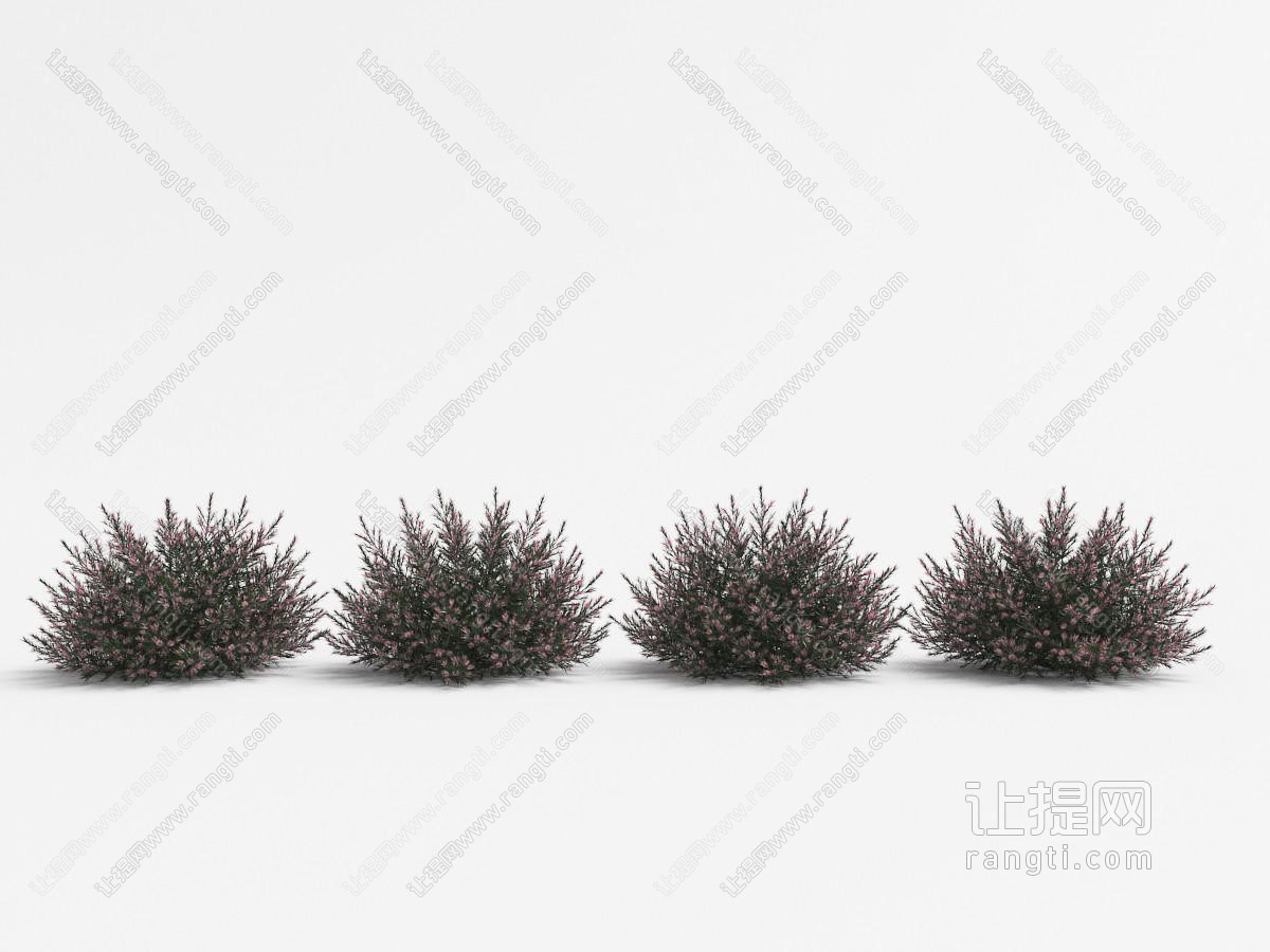 开着粉色花朵的四处花草从