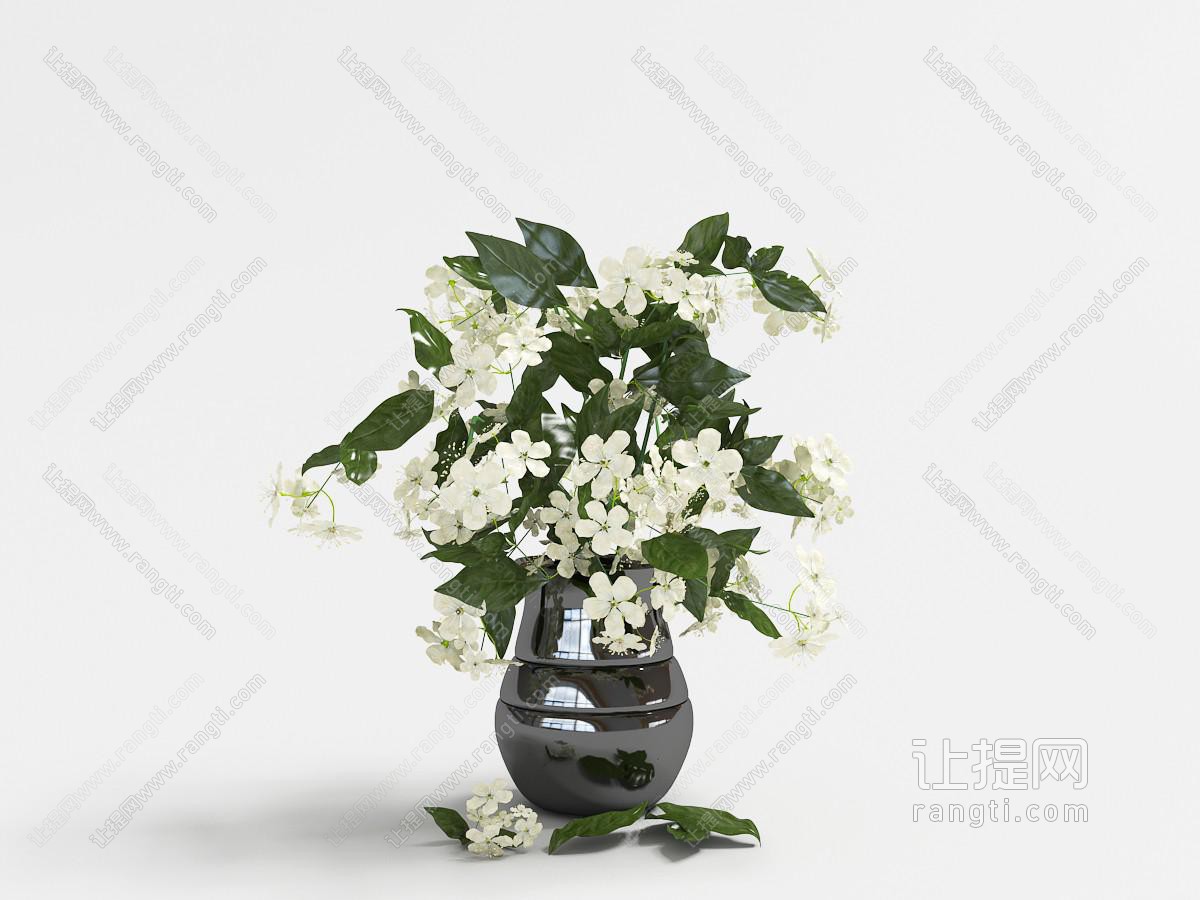 插满白色花朵的黑色花瓶花卉