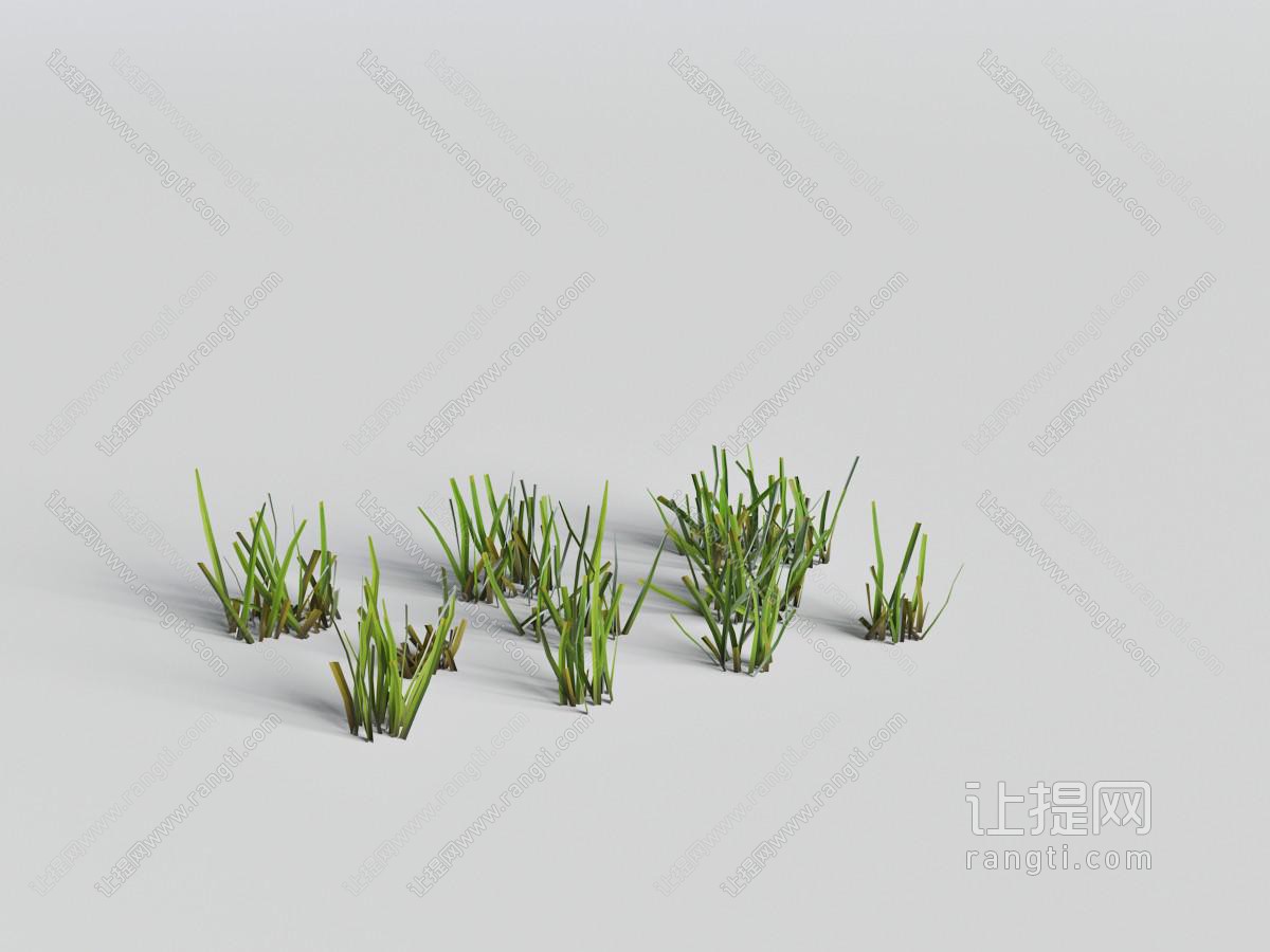 几处类似兰花的花草植物