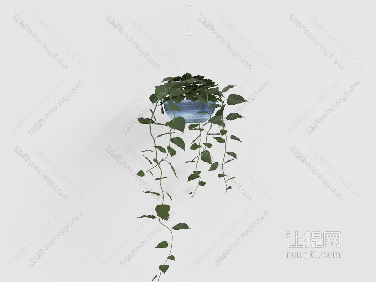蓝色陶瓷花盆里的藤蔓植物