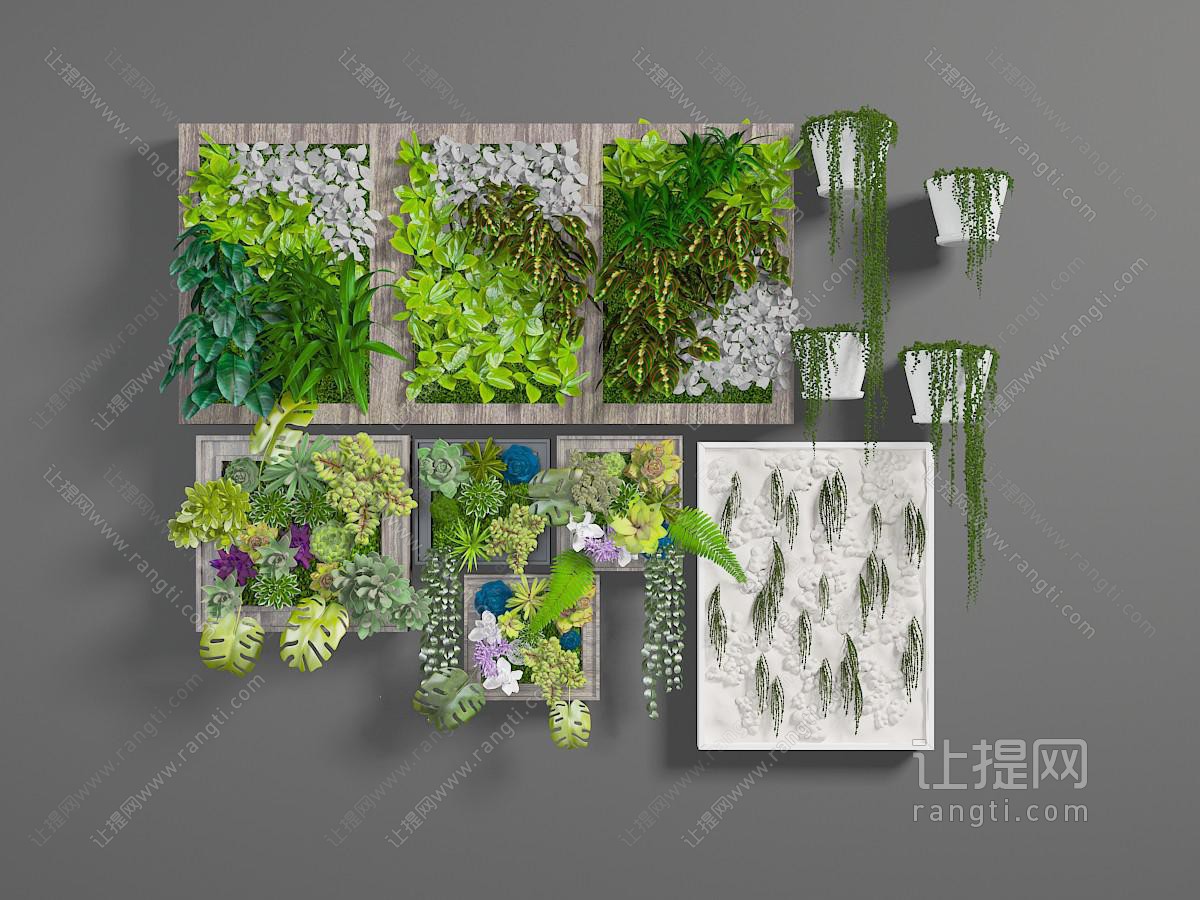 长方形实木边框的植物墙、藤蔓盆栽植物
